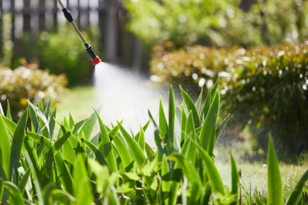 Tamper-Resistant Bait Stations for Rodents in Platte City
