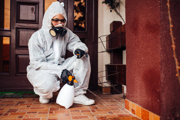 Attic and Crawl Space Rodent Treatment in Platte City