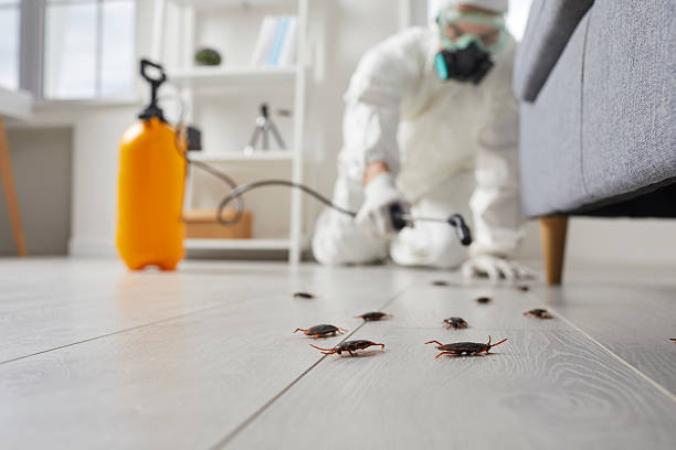 Commercial Rodent Management in Platte City